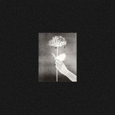 WHITE FLOWERS - DAY BY DAY - CD image 1