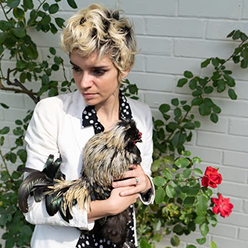 GABI GARBUTT & THE I - COCKEREL - CD image 1