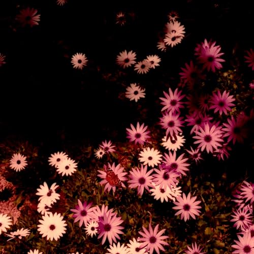RAT COLUMNS - BABYDOLL (COLOURED VINYL) - Vinyl Record VL image 1