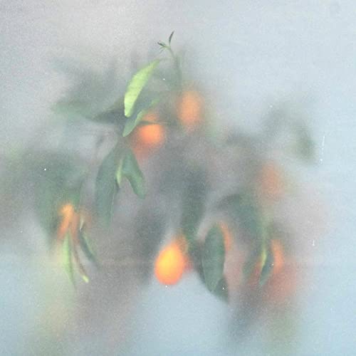 µ-ZIQ & MRS JYNX - SECRET GARDEN - Vinyl Record VL image 1