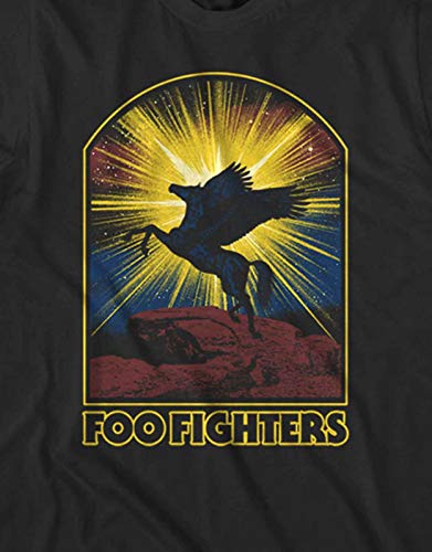 FOO FIGHTERS - tshirt - Unisex - Short Sleeves - PHM - X-Large image 4