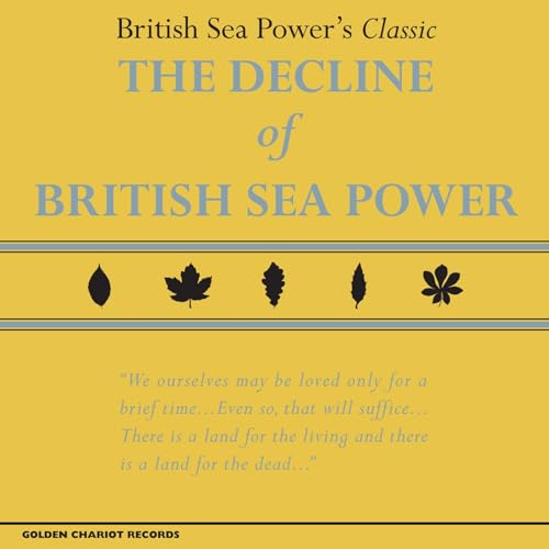 British Sea Power - Decline Of - Vinyl Record image 1