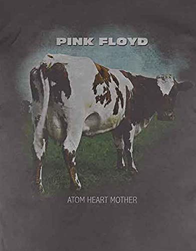 Pink Floyd - tshirt - Unisex - Short Sleeves - X-Large image 4