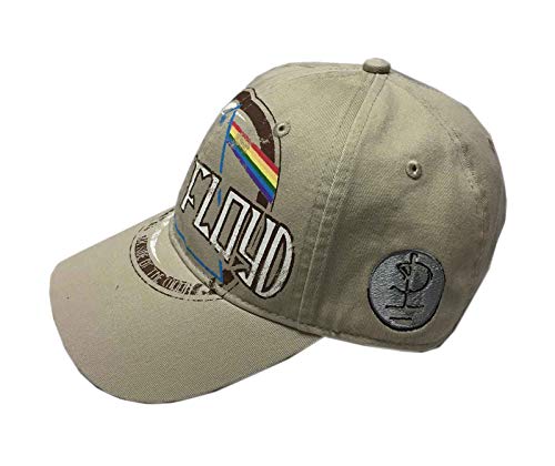 Pink Floyd - Hats - Unisex - Dark Side of the Moon Album Distressed image 4