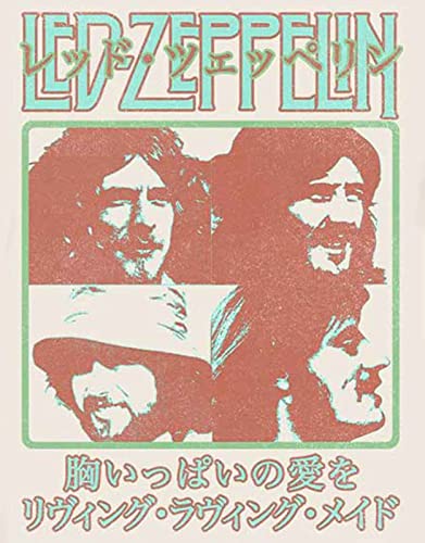 Led Zeppelin - tshirt - Unisex - Short Sleeves - X-Large image 4