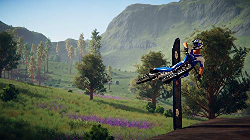 Descenders /Switch - Switch image 4