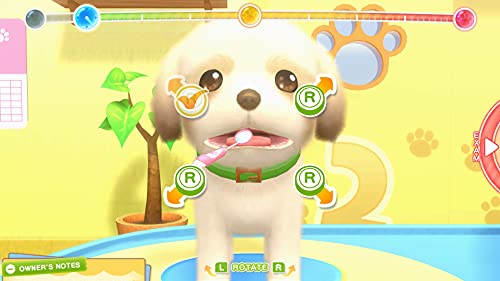 Pups & Purrs: Animal - PUPS & PURRS ANIMAL HOSPITAL - Switch image 2