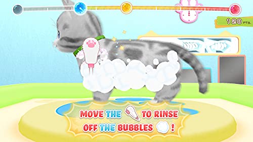 Pups & Purrs: Animal - PUPS & PURRS ANIMAL HOSPITAL - Switch image 4