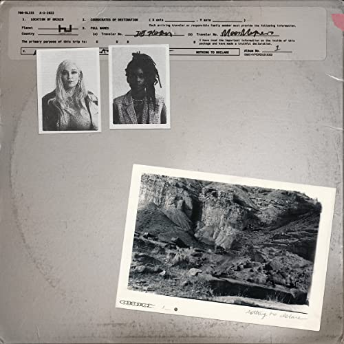 700 BLISS - NOTHING TO DECLARE - CD
