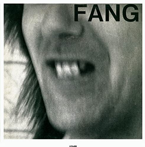 FANG - ENJOY THE VIEW - Vinyl Record VL image 1