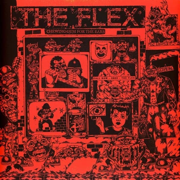FLEX - CHEWING GUM FOR THE EARS - Vinyl Record VL image 1