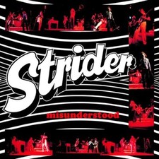 STRIDER - MISUNDERSTOOD - CD image 1