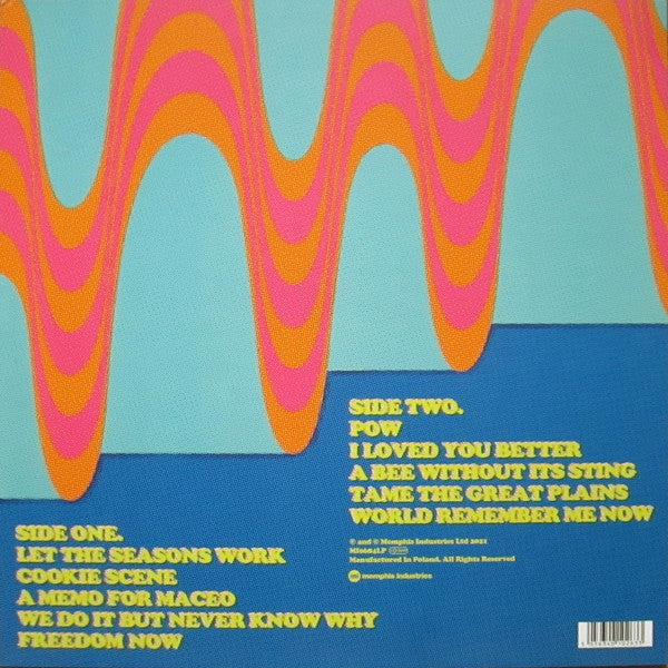 GO! TEAM - GET UP SEQUENCES PART ONE - Vinyl Record 12" RECORD image 2