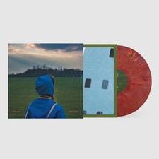 ROZI PLAIN - WHAT A BOOST - Vinyl Record 12" RECORD image 1