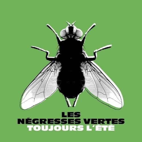 LES NEGRESSES VERTES - TOUJOURS LETE (BEST OF) - Vinyl Record image 1