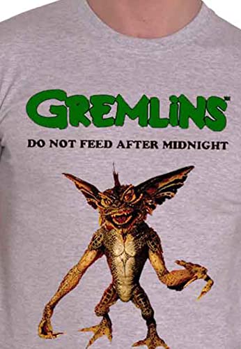 Warner Bros - tshirt - Unisex - Short Sleeves - Medium image 4