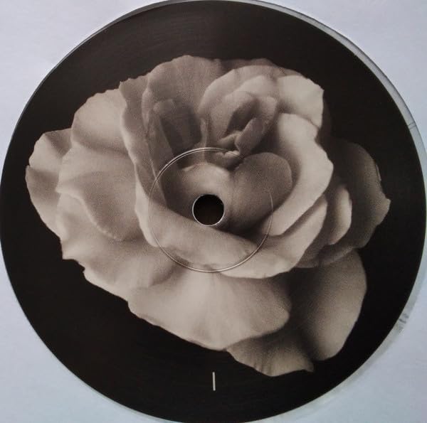 KATE BUSH - Sensual World (2018 Remaster) (Ash Grey Vinyl) (Indies Onl image 5
