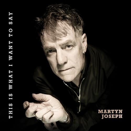 Martyn Joseph - This Is What I Want To Say - Vinyl Record image 1