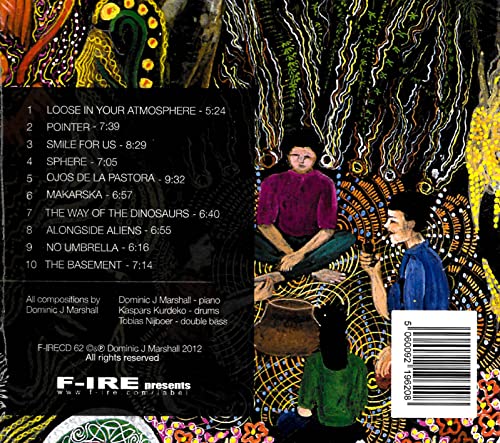 Dominic J Marshall T - Icaros - Used CD image 2