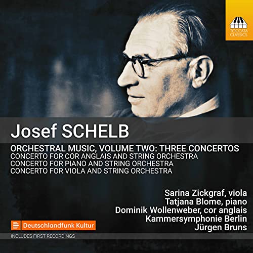 VARIOUS - SCHELB:ORCHESTRAL MUSIC - cd image 1