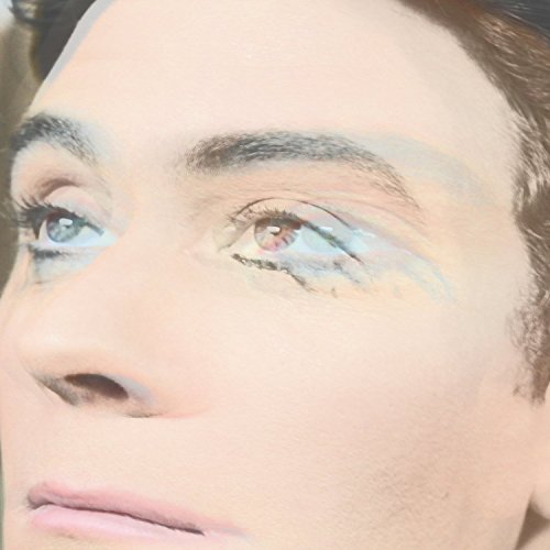 RUBY SUNS - CHRISTOPHER - CD ALBUM image 1