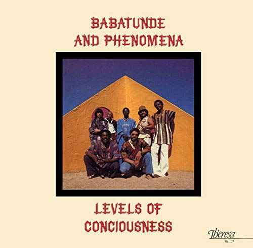 BABATUNDE & PHENOMEN - LEVELS OF CONSCIOUSNESS (180G) - Vinyl Record image 1