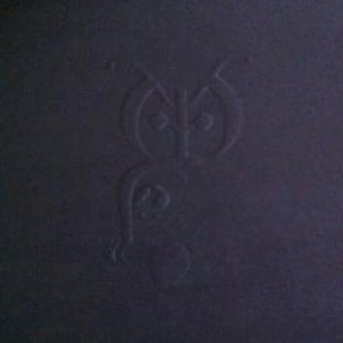 OWLS - Night Stays - Vinyl Record image 1