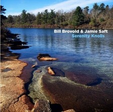 Bill Brovold - Serenity Knolls - Vinyl Record image 1