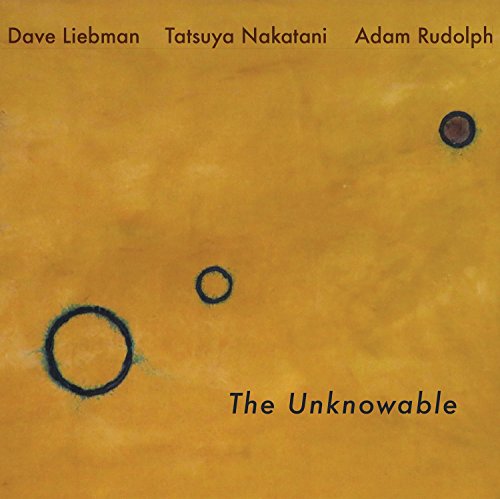 David Liebman - Unknowable - Vinyl Record image 1