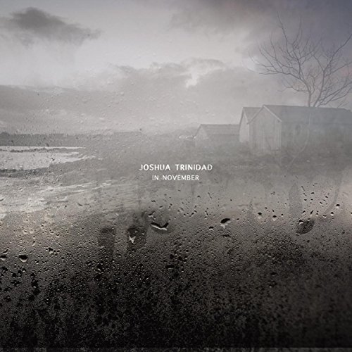 Joshua Trinidad - In November - Vinyl Record image 1