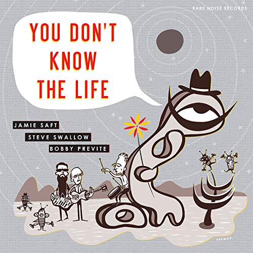 JAMIE SAFT - YOU DONÈT KNOW THE LIFE - CD image 1