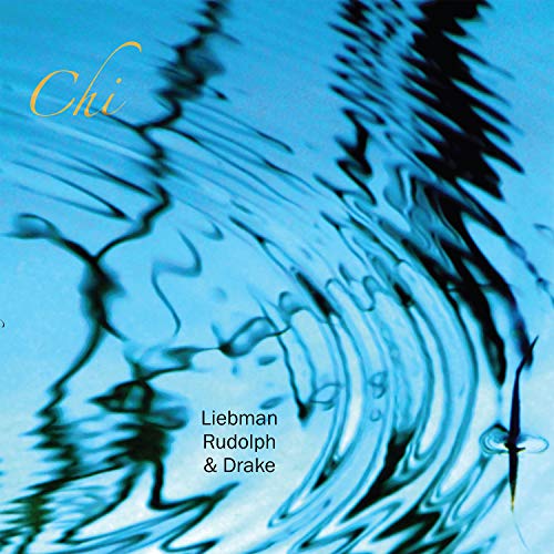 DAVE LIEBMAN - CHI - Vinyl Record VL image 1