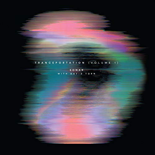 SONAR WITH DAVID TOR - ALL THE LEAVES ARE GONE - CD image 1