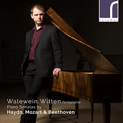 Joseph Haydn - Walewein Witten: Piano Sonatas By Haydn Mozart & Beethove image 1