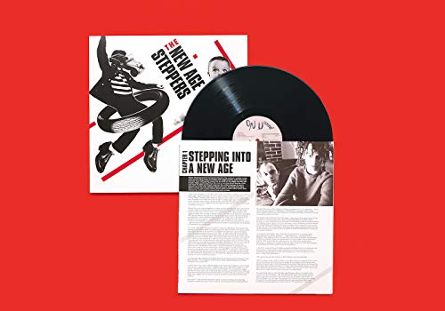 NEW AGE STEPPERS - Vinyl Record 12" RECORD image 2