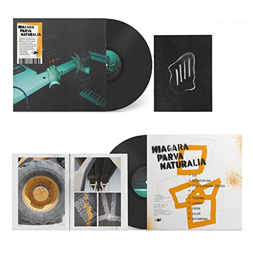 NIAGARA - PARVA NATURALIA - Vinyl Record 12" RECORD image 2