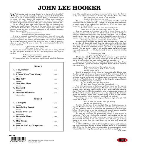 JOHN LEE HOOKER - Plays & Sings The Blues - Vinyl Record image 2