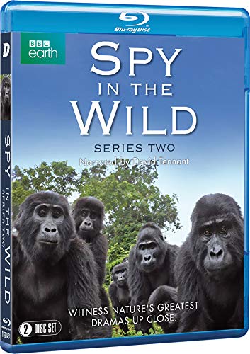 Spy in the Wild: Series Two - Blu-ray image 2