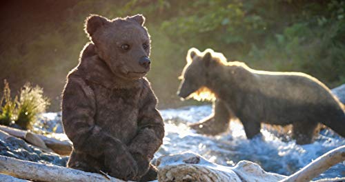 Spy in the Wild: Series Two - Blu-ray image 6