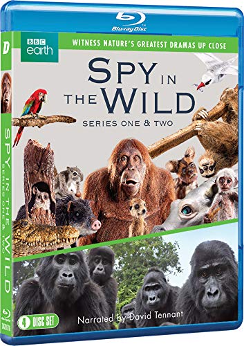 Spy in the Wild: Series 1-2 - Blu-ray image 2