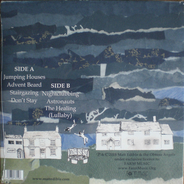 Matt Edible & The Ob - Stairgazing - Used Vinyl Record image 3
