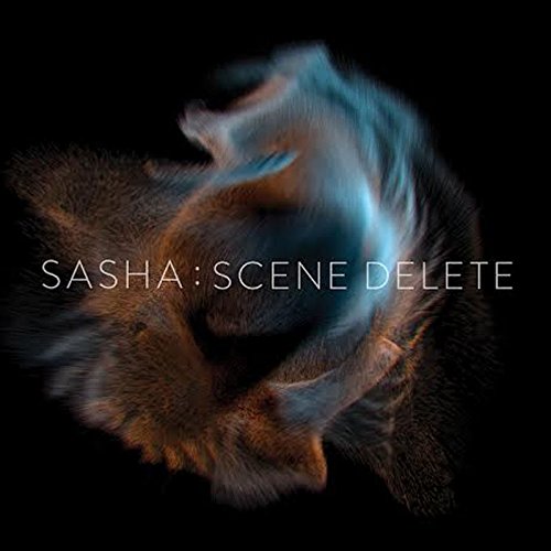 Sasha - Scene Delete - Vinyl Record image 1