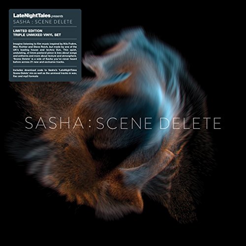 Sasha - Scene Delete - Vinyl Record image 3