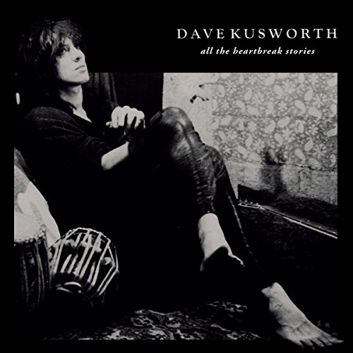 Dave Kusworth - All The Heartbreak Stories - Vinyl Record image 1