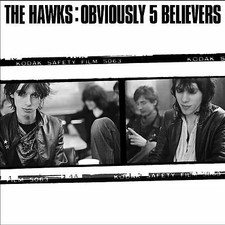 HAWKS - OBVIOUSLY 5 BELIEVERS - Vinyl Record VL image 1