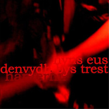 HANTERHIR - RE IS NO ONE TO TRUST (NYNS EUS DENVYDTH BY - Vinyl Recor image 1