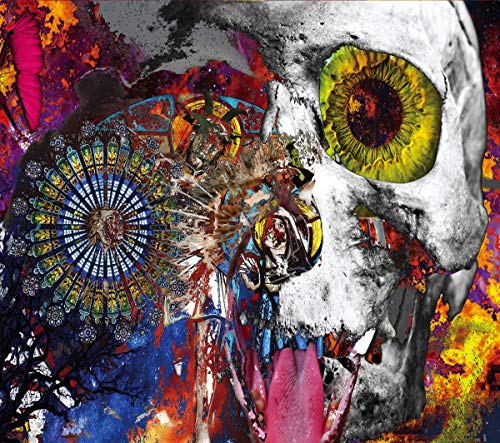 I Feel Like a Bombed - CD