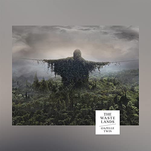 GAZELLE TWIN - WASTELANDS - Vinyl Record VL image 1