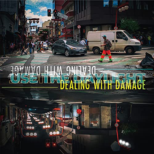 DEALING WITH DAMAGE - USE THE DAYLIGHT - Vinyl Record image 1