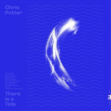 POTTER CHRIS - RE IS A TIDE - Vinyl Record image 1